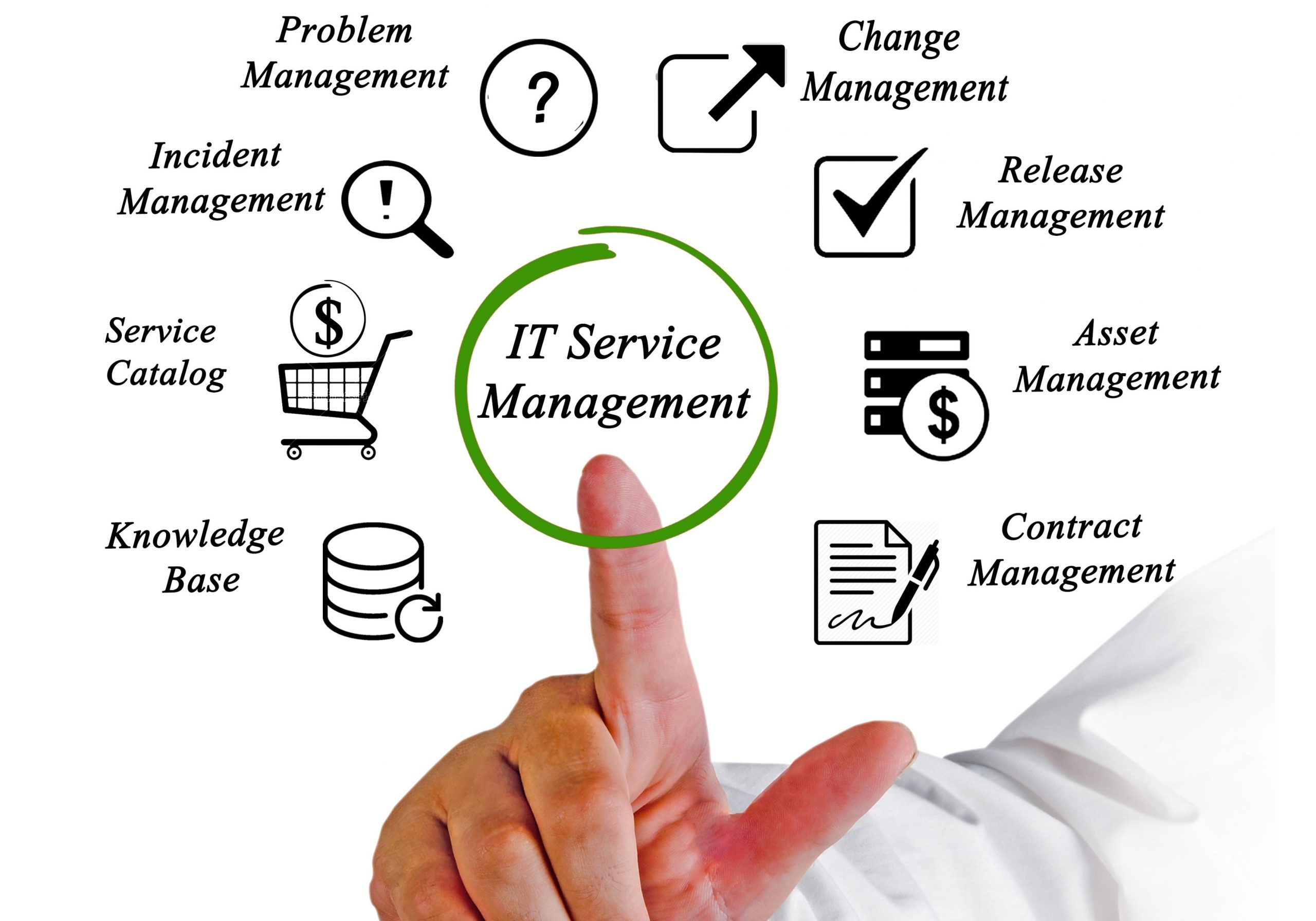 WEBSITE MANAGEMENT SERVICES